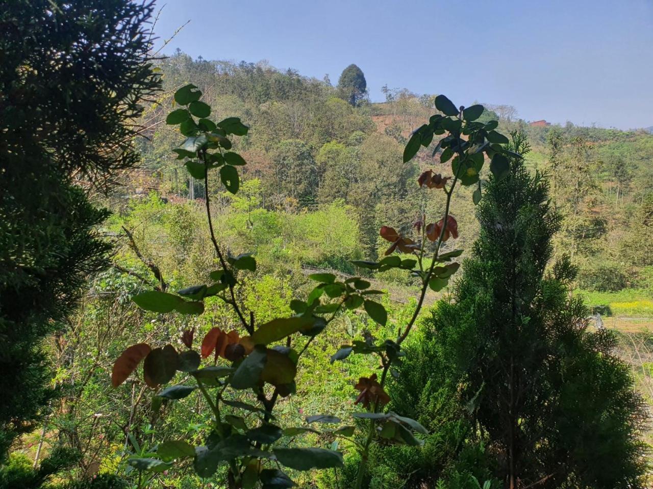 Sapa Garden Bungalow Zewnętrze zdjęcie