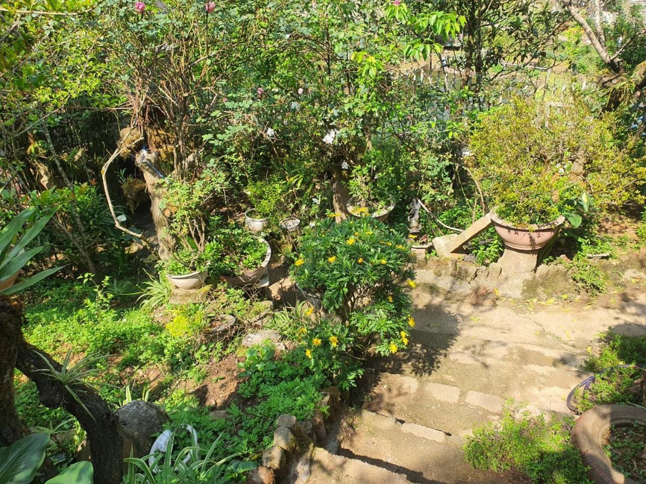 Sapa Garden Bungalow Zewnętrze zdjęcie